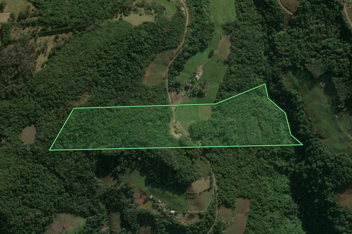 Imagem de satélite do imóvel rural em Caxias do Sul (RS), com o contorno declarado no CAR desenhado por cima.