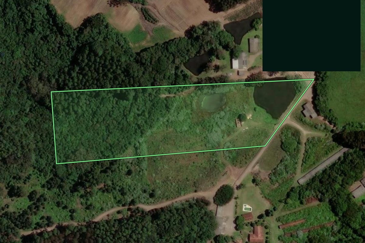 Imagem de satélite do imóvel rural em Caxias do Sul (RS), com o contorno declarado no CAR desenhado por cima.
