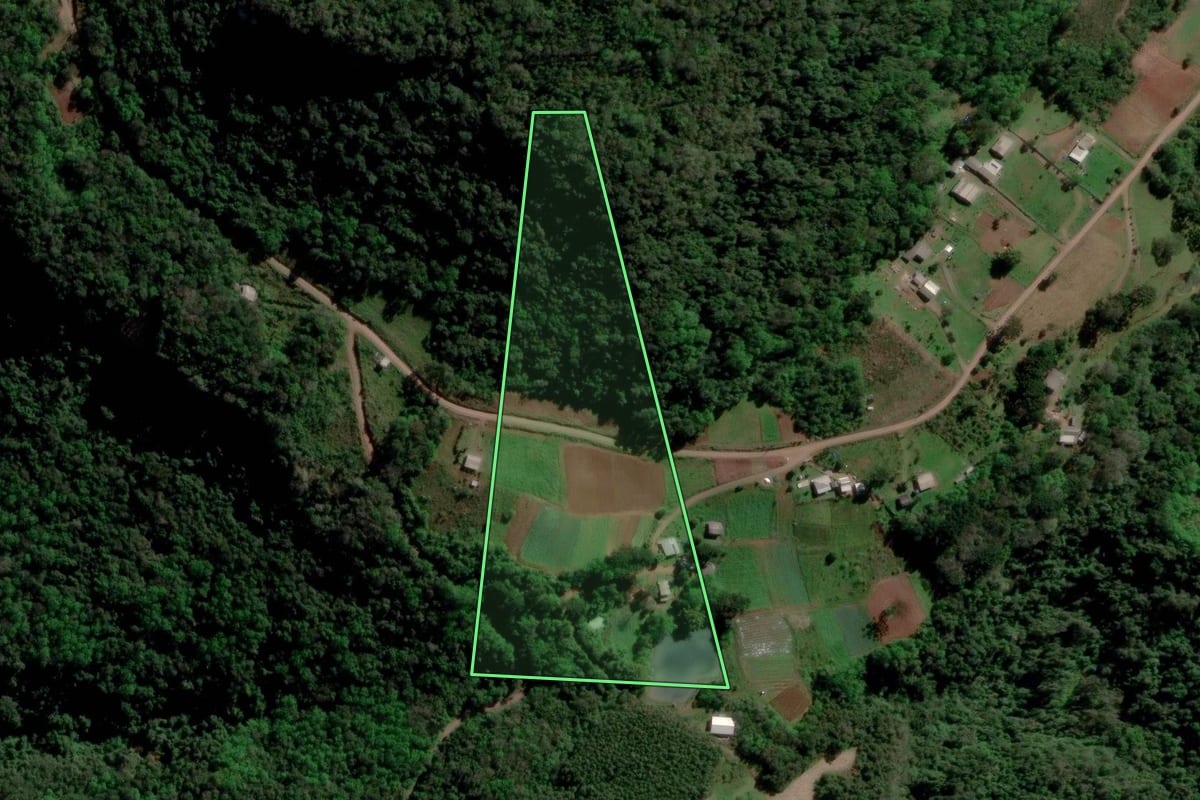 Imagem de satélite do imóvel rural em Caxias do Sul (RS), com o contorno declarado no CAR desenhado por cima.