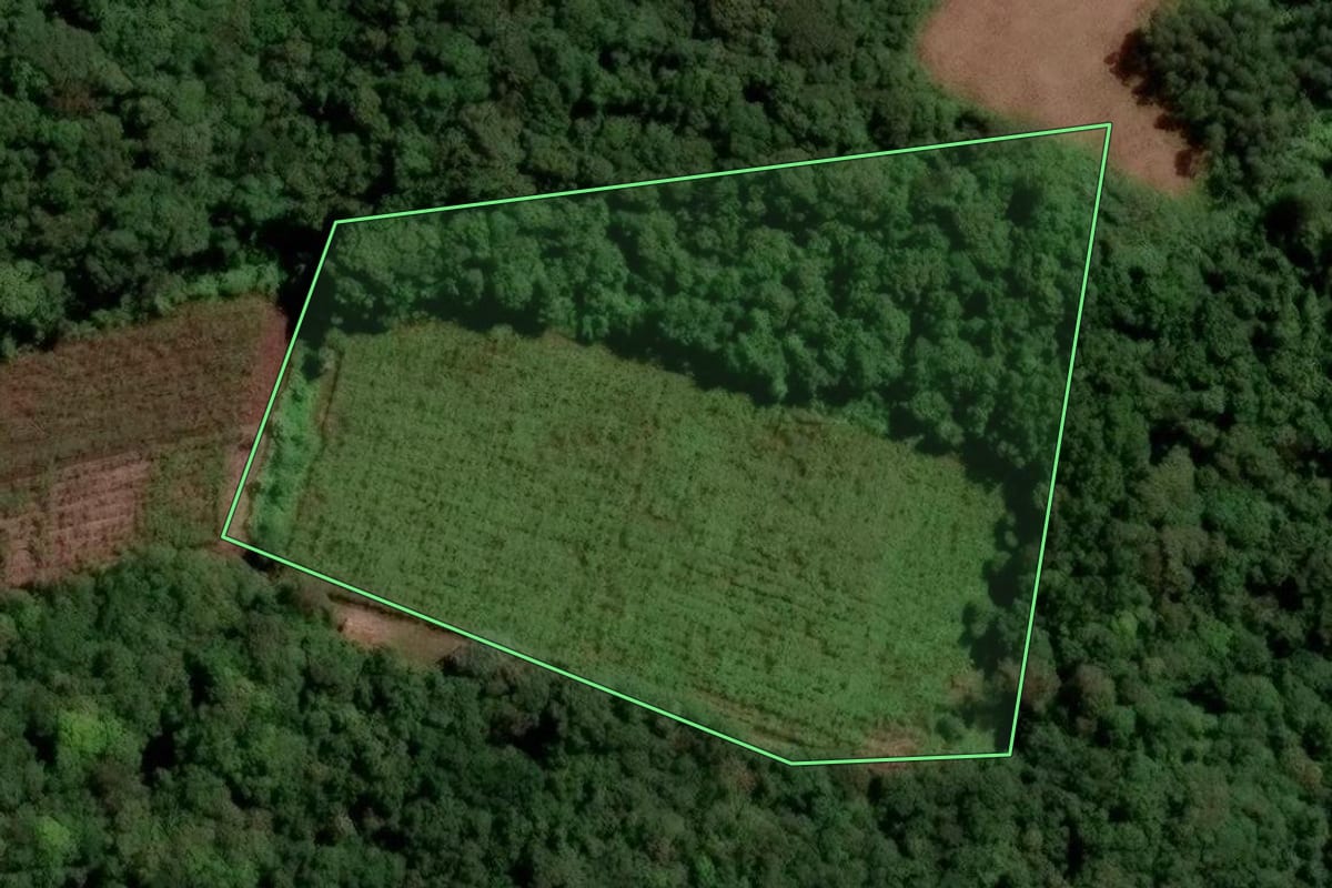 Imagem de satélite do imóvel rural em Caxias do Sul (RS), com o contorno declarado no CAR desenhado por cima.