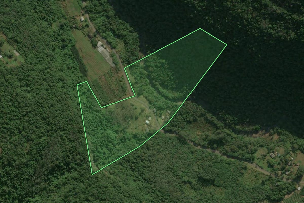 Imagem de satélite do imóvel rural em Caxias do Sul (RS), com o contorno declarado no CAR desenhado por cima.