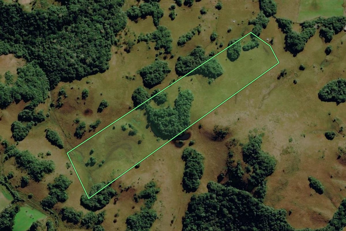 Imagem de satélite do imóvel rural em Caxias do Sul (RS), com o contorno declarado no CAR desenhado por cima.