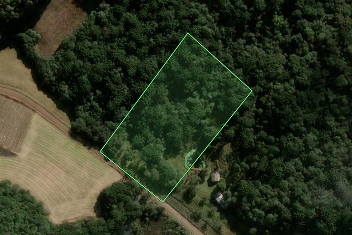 Imagem de satélite do imóvel rural em Caxias do Sul (RS), com o contorno declarado no CAR desenhado por cima.