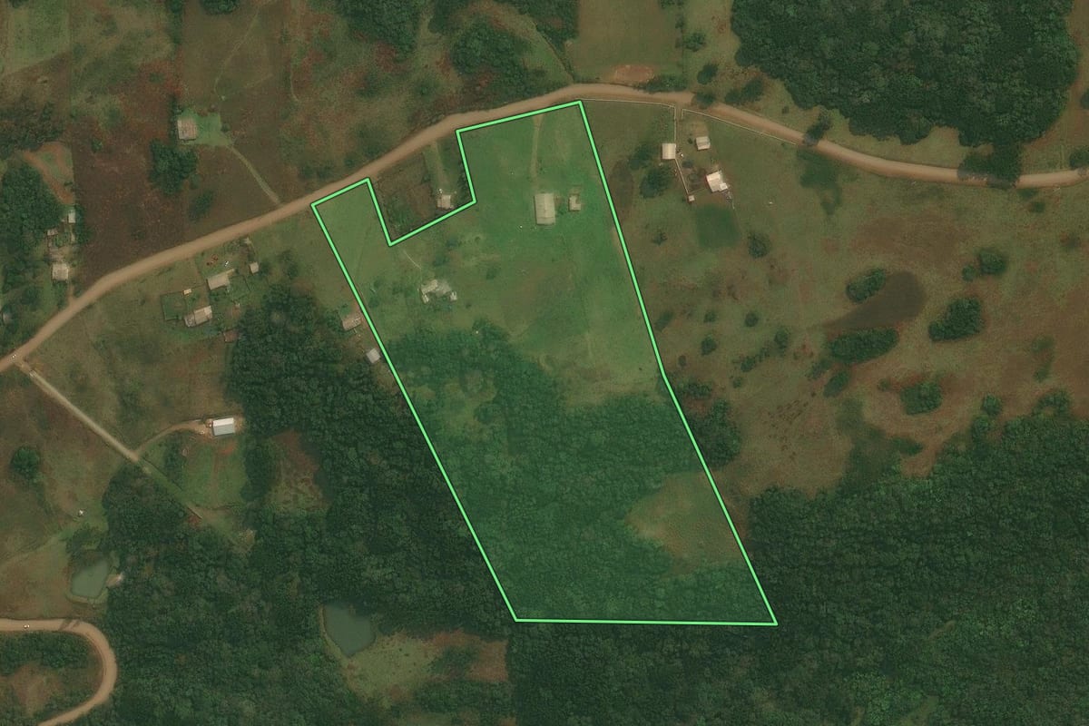 Imagem de satélite do imóvel rural em Caxias do Sul (RS), com o contorno declarado no CAR desenhado por cima.