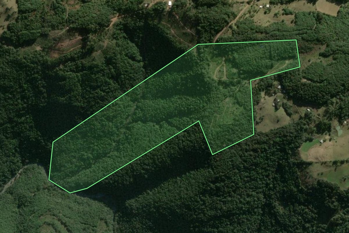 Imagem de satélite do imóvel rural em Caxias do Sul (RS), com o contorno declarado no CAR desenhado por cima.