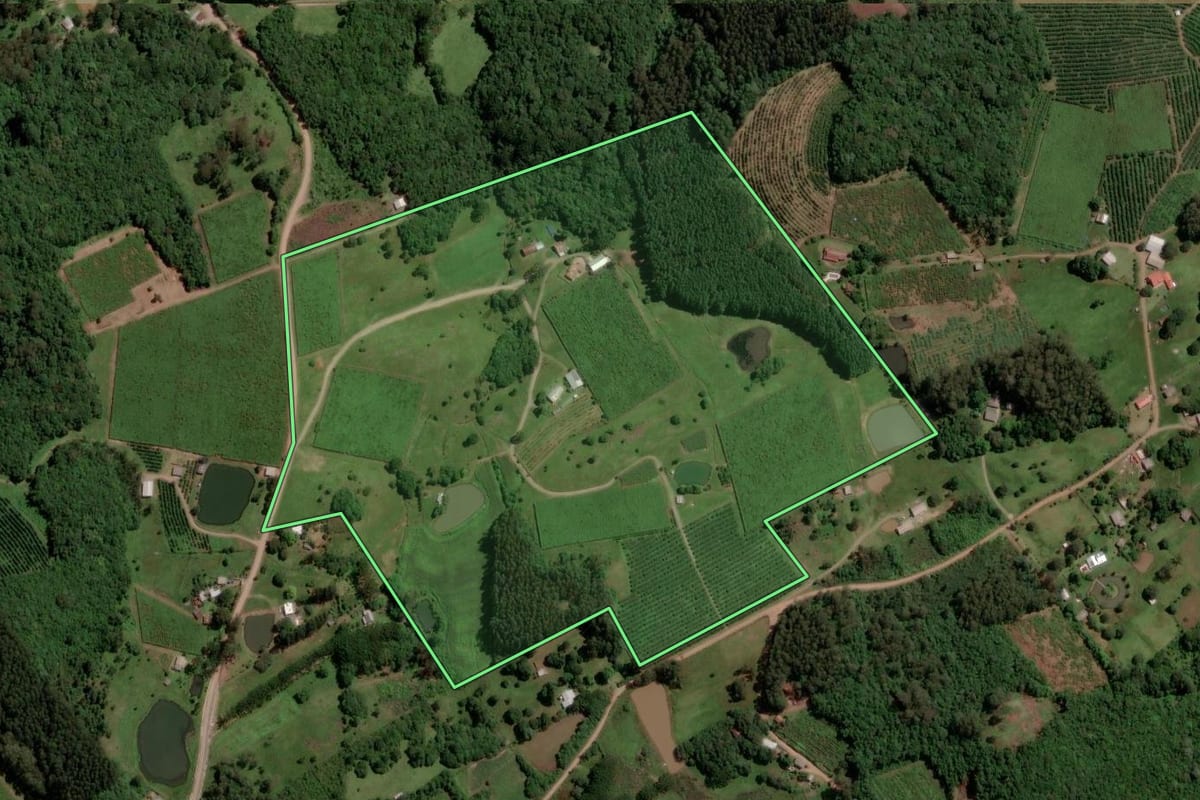 Imagem de satélite do imóvel rural em Caxias do Sul (RS), com o contorno declarado no CAR desenhado por cima.