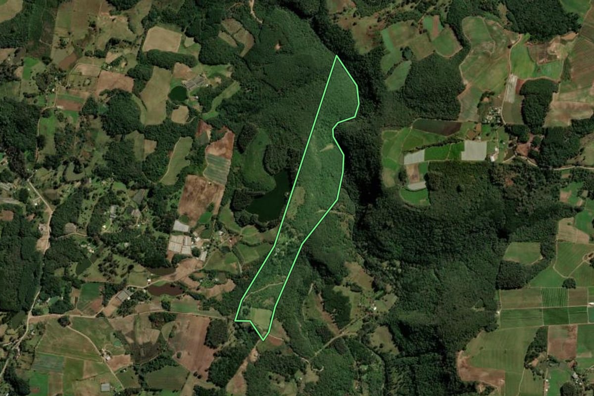 Imagem de satélite do imóvel rural em Caxias do Sul (RS), com o contorno declarado no CAR desenhado por cima.