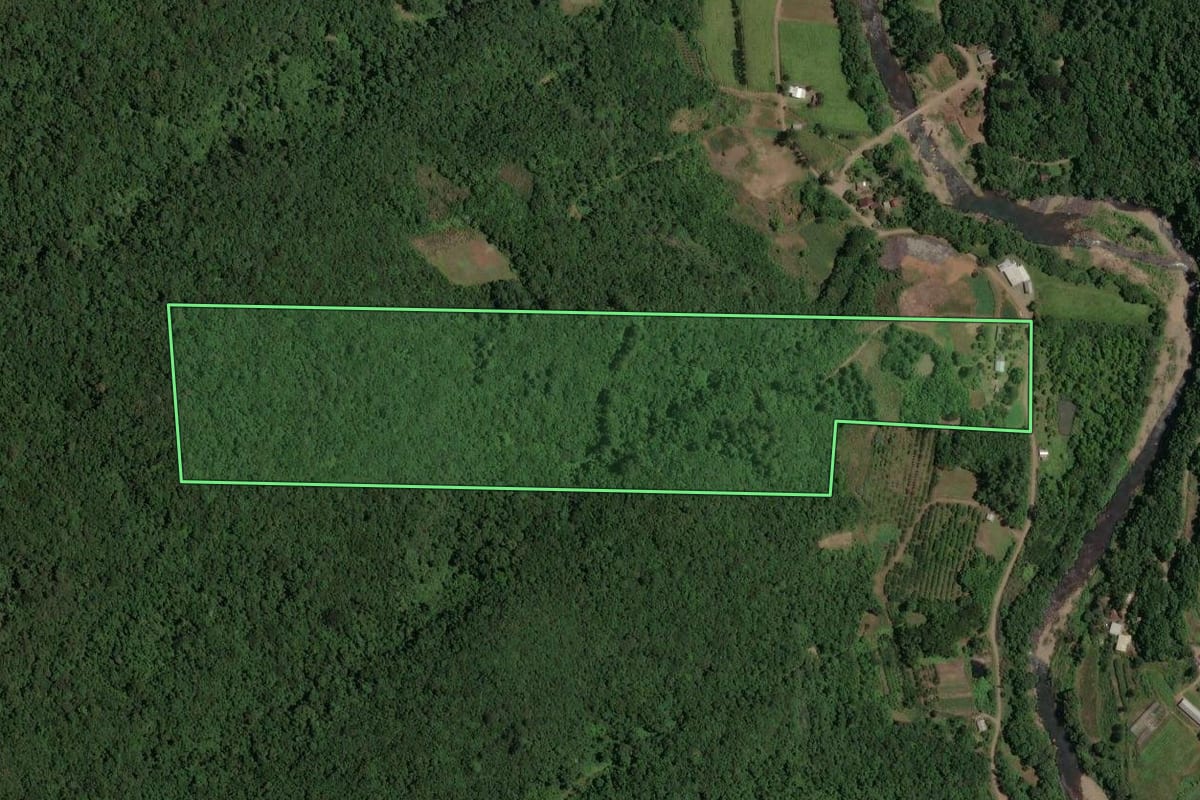 Imagem de satélite do imóvel rural em Caxias do Sul (RS), com o contorno declarado no CAR desenhado por cima.