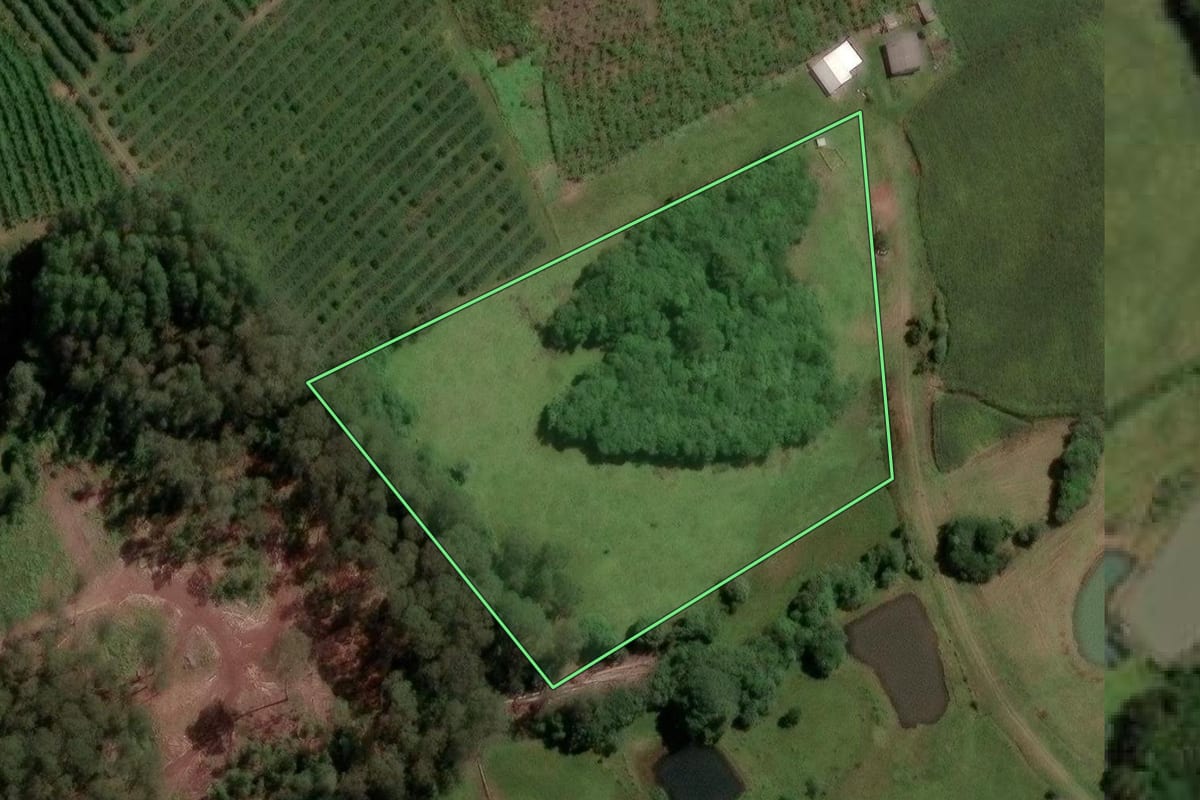 Imagem de satélite do imóvel rural em Caxias do Sul (RS), com o contorno declarado no CAR desenhado por cima.