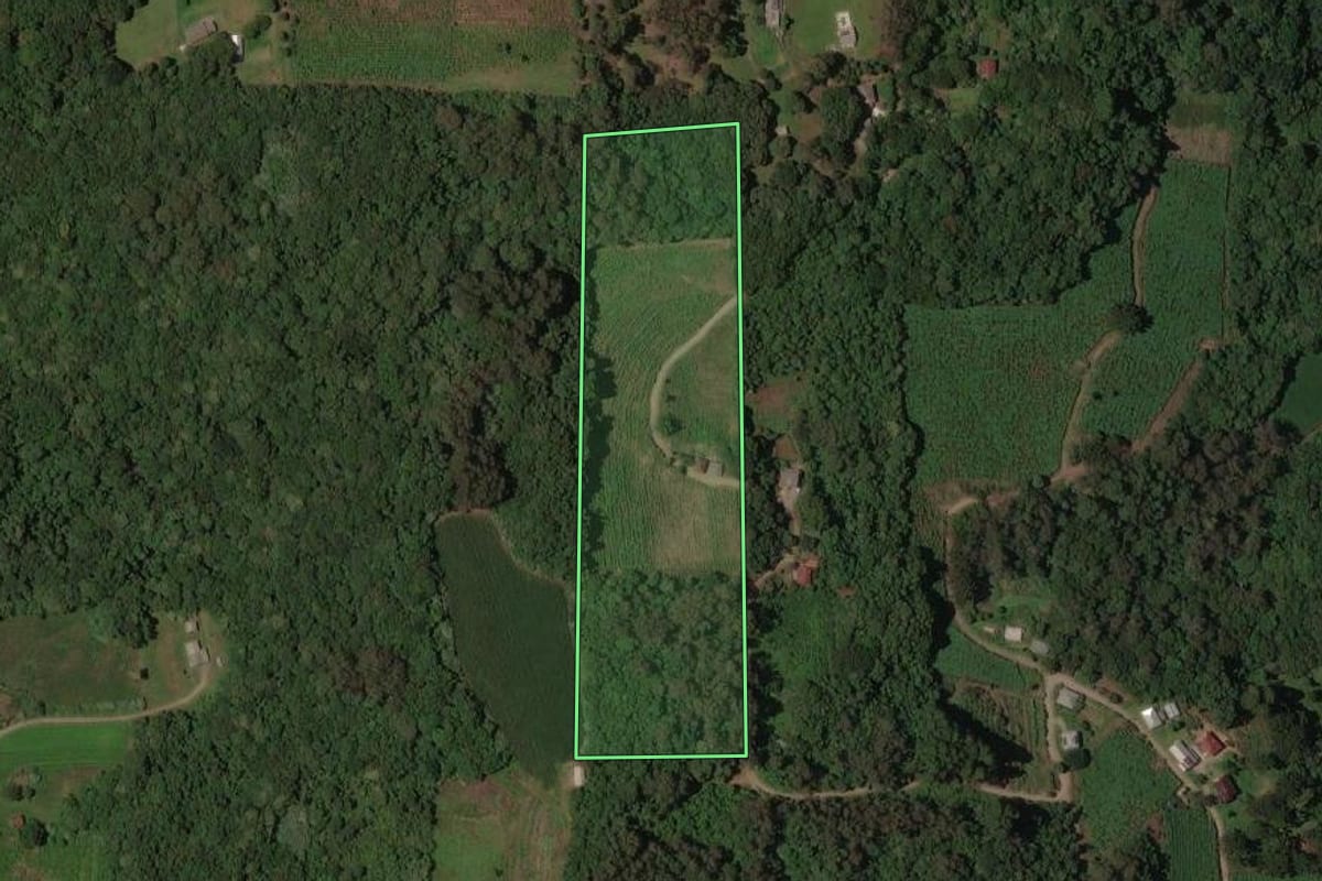 Imagem de satélite do imóvel rural em Caxias do Sul (RS), com o contorno declarado no CAR desenhado por cima.