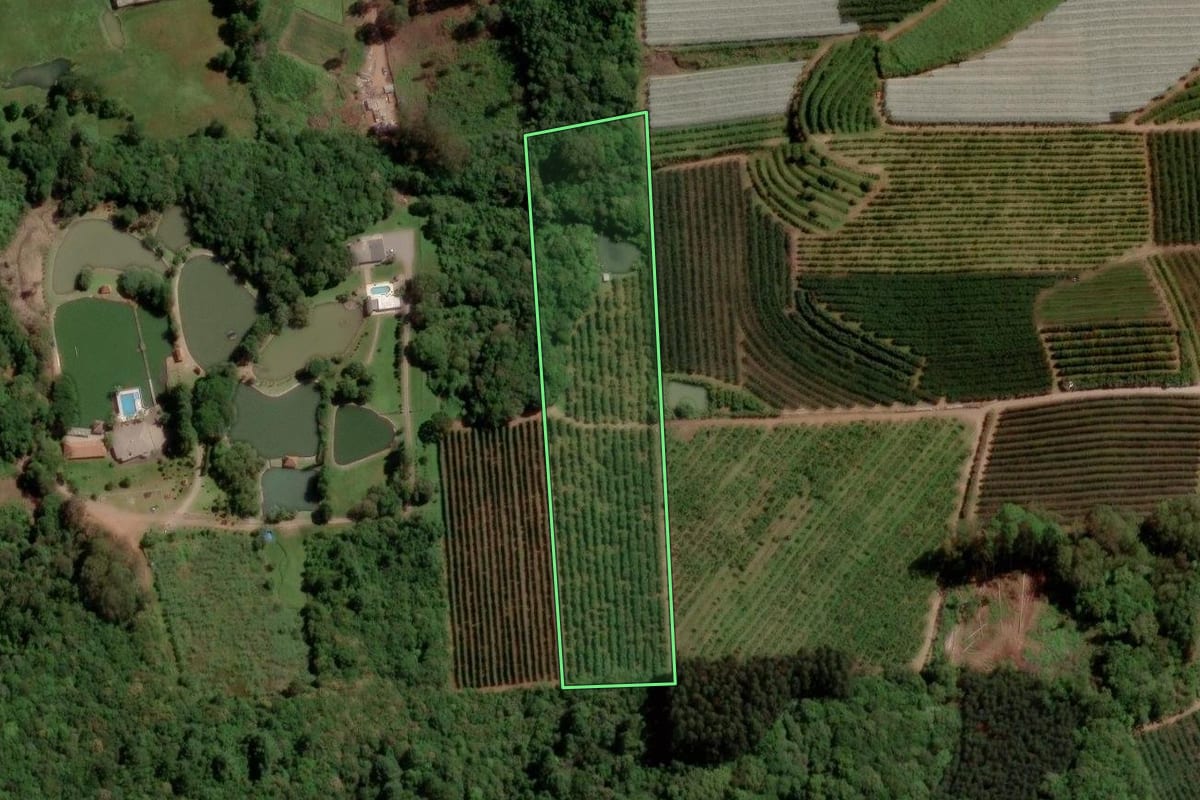 Imagem de satélite do imóvel rural em Caxias do Sul (RS), com o contorno declarado no CAR desenhado por cima.
