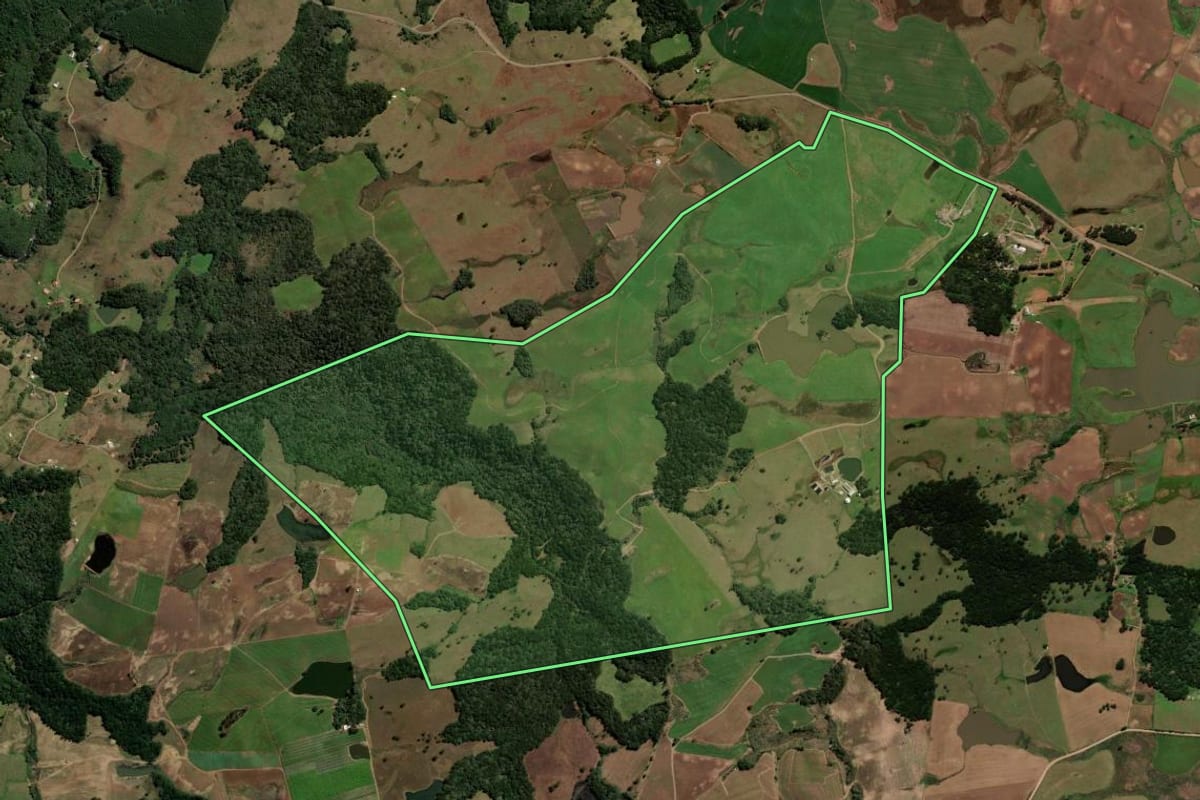 Imagem de satélite do imóvel rural em Caxias do Sul (RS), com o contorno declarado no CAR desenhado por cima.