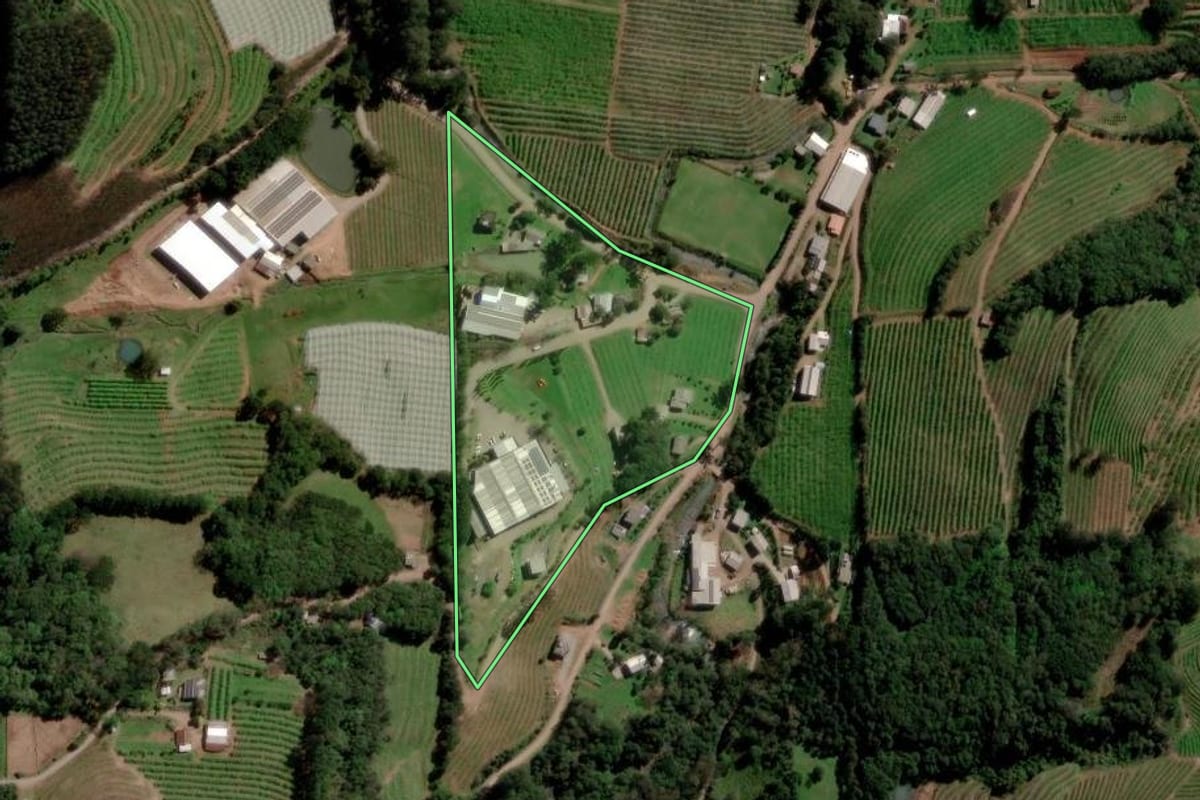 Imagem de satélite do imóvel rural em Caxias do Sul (RS), com o contorno declarado no CAR desenhado por cima.