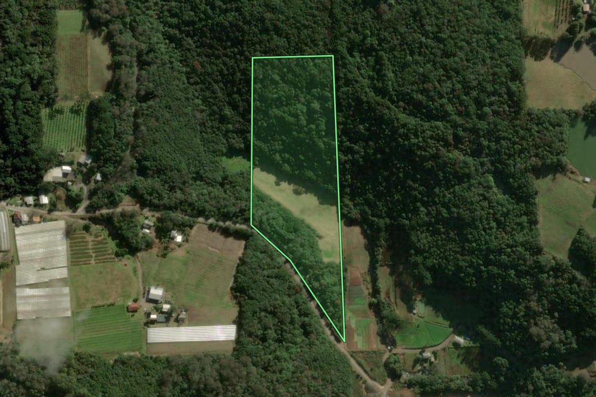 Imagem de satélite do imóvel rural em Caxias do Sul (RS), com o contorno declarado no CAR desenhado por cima.