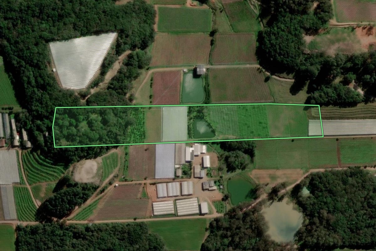 Imagem de satélite do imóvel rural em Caxias do Sul (RS), com o contorno declarado no CAR desenhado por cima.