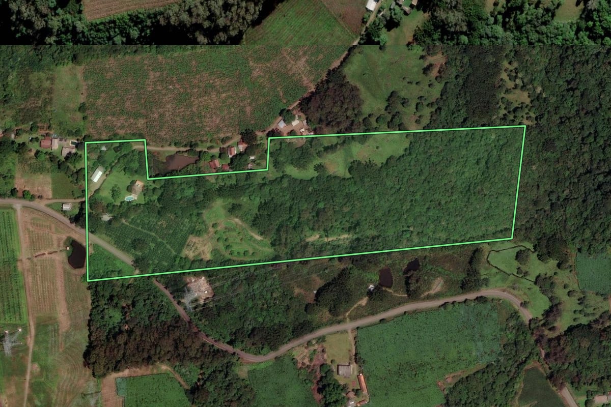 Imagem de satélite do imóvel rural em Caxias do Sul (RS), com o contorno declarado no CAR desenhado por cima.