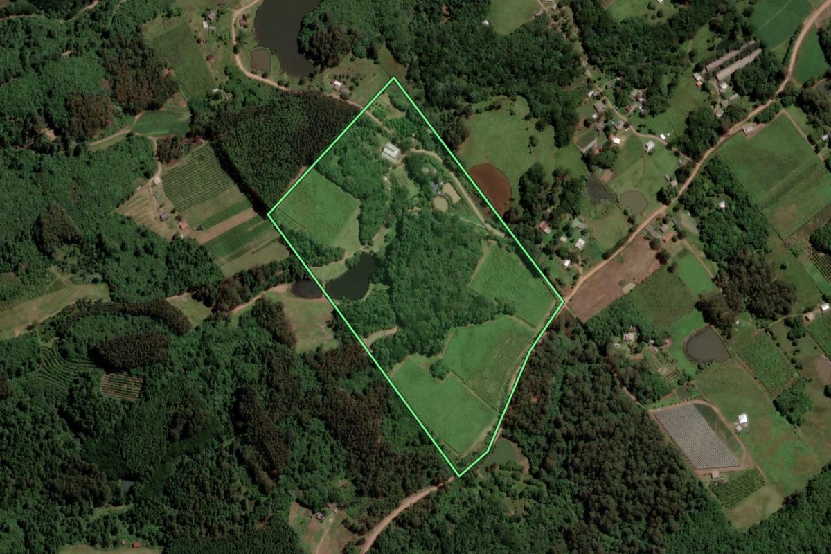 Imagem de satélite do imóvel rural em Caxias do Sul (RS), com o contorno declarado no CAR desenhado por cima.