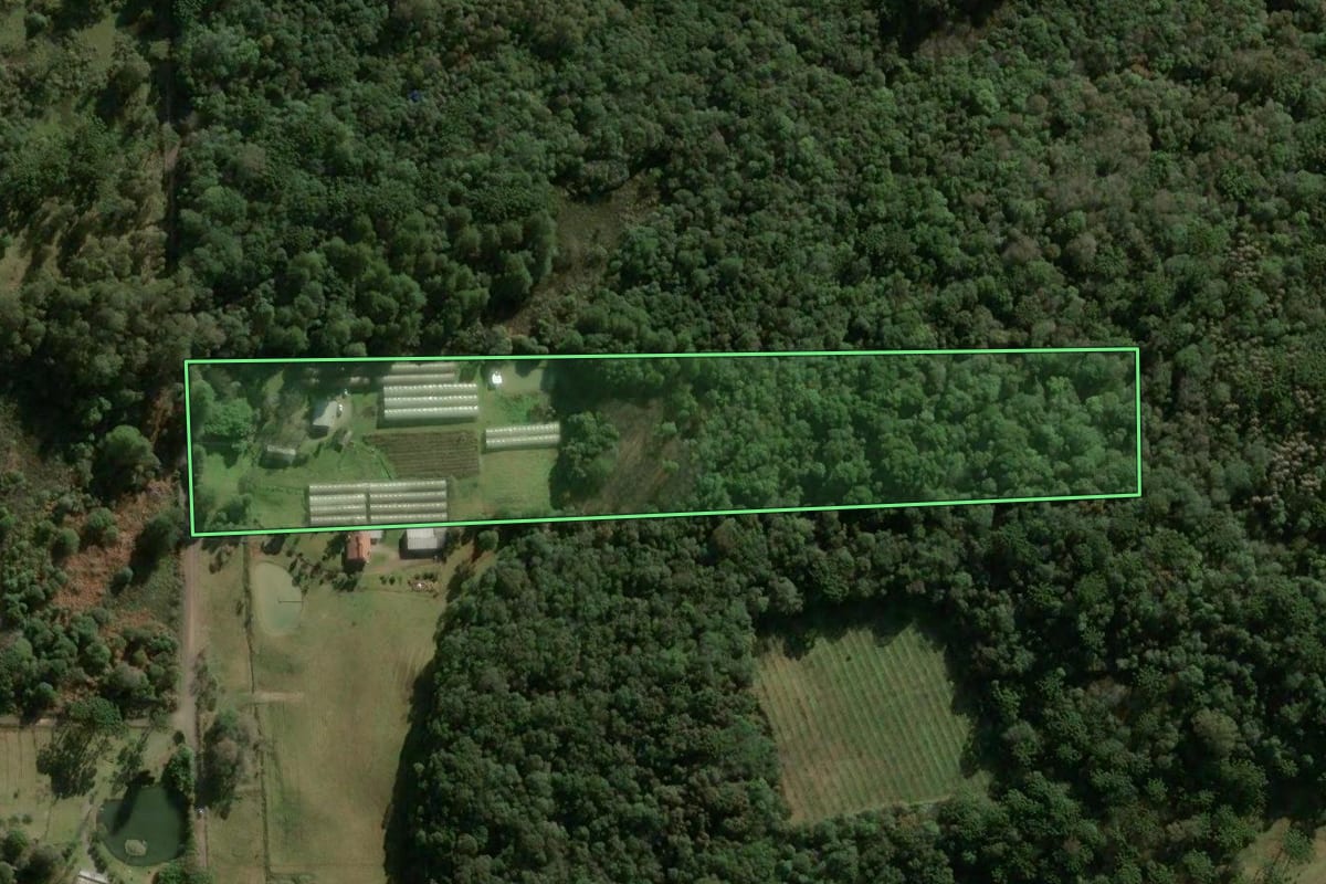 Imagem de satélite do imóvel rural em Caxias do Sul (RS), com o contorno declarado no CAR desenhado por cima.