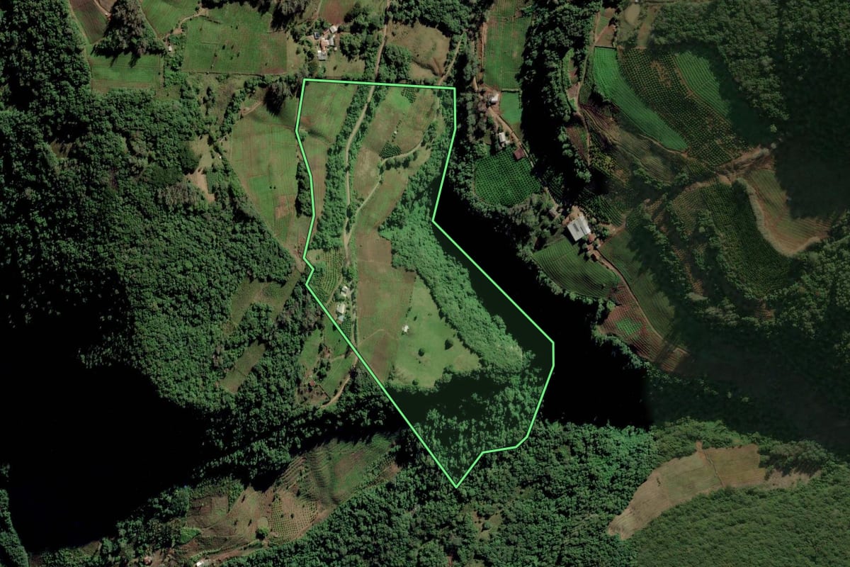 Imagem de satélite do imóvel rural em Caxias do Sul (RS), com o contorno declarado no CAR desenhado por cima.