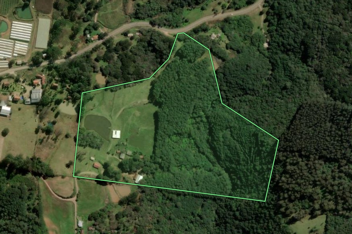 Imagem de satélite do imóvel rural em Caxias do Sul (RS), com o contorno declarado no CAR desenhado por cima.