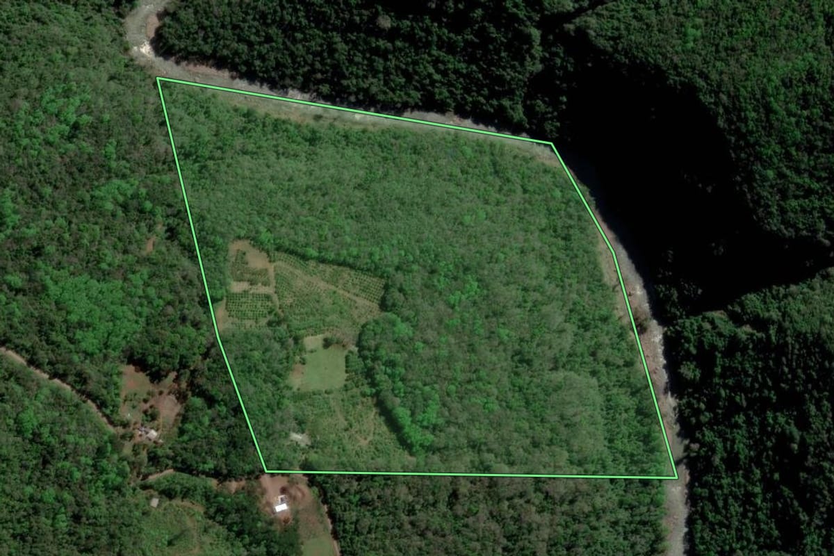Imagem de satélite do imóvel rural em Caxias do Sul (RS), com o contorno declarado no CAR desenhado por cima.