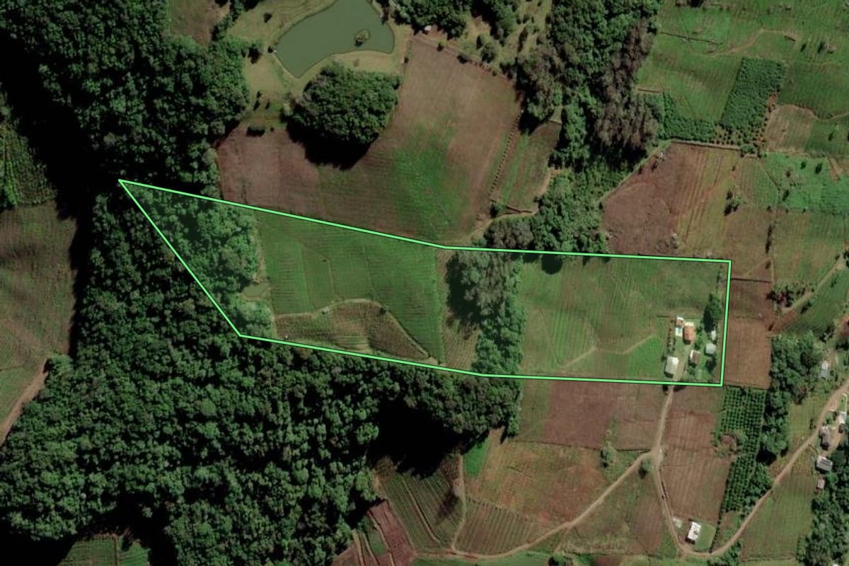 Imagem de satélite do imóvel rural em Caxias do Sul (RS), com o contorno declarado no CAR desenhado por cima.
