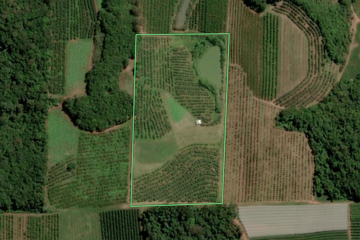 Imagem de satélite do imóvel rural em Caxias do Sul (RS), com o contorno declarado no CAR desenhado por cima.