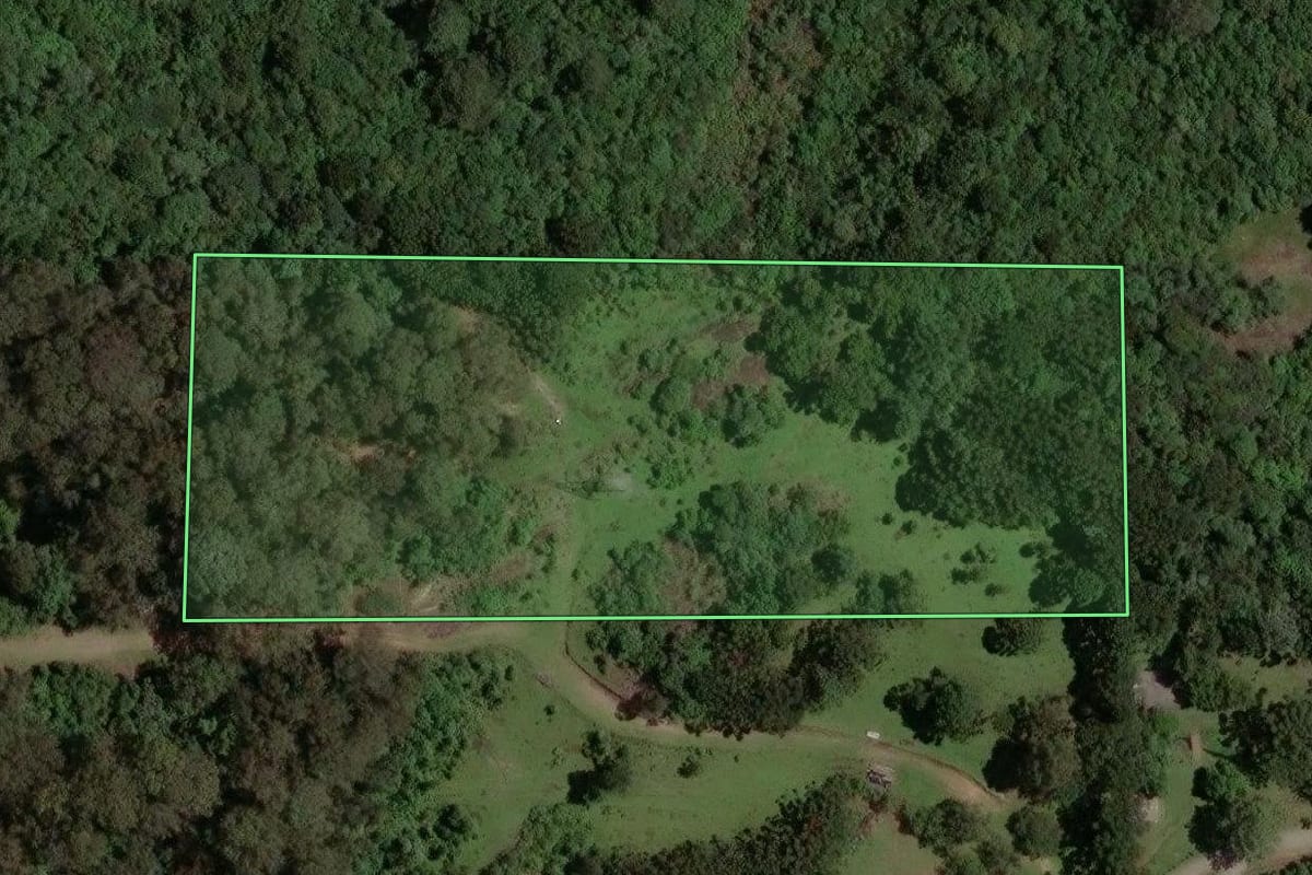Imagem de satélite do imóvel rural em Caxias do Sul (RS), com o contorno declarado no CAR desenhado por cima.
