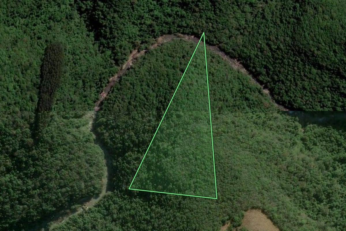 Imagem de satélite do imóvel rural em Caxias do Sul (RS), com o contorno declarado no CAR desenhado por cima.