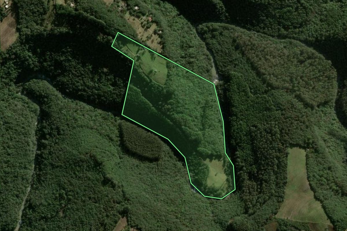 Imagem de satélite do imóvel rural em Caxias do Sul (RS), com o contorno declarado no CAR desenhado por cima.