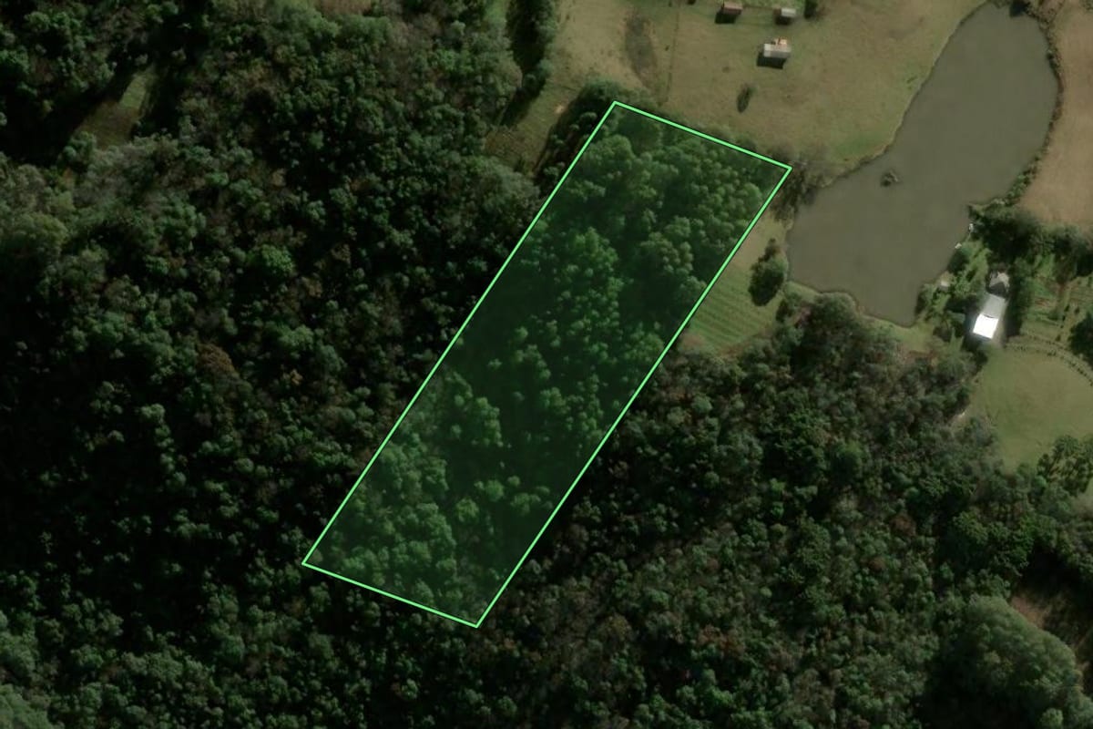 Imagem de satélite do imóvel rural em Caxias do Sul (RS), com o contorno declarado no CAR desenhado por cima.