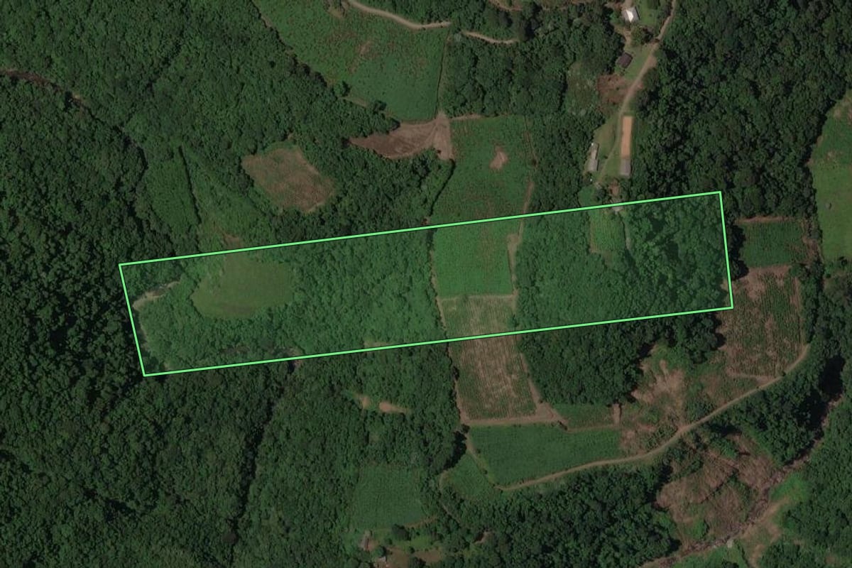 Imagem de satélite do imóvel rural em Caxias do Sul (RS), com o contorno declarado no CAR desenhado por cima.