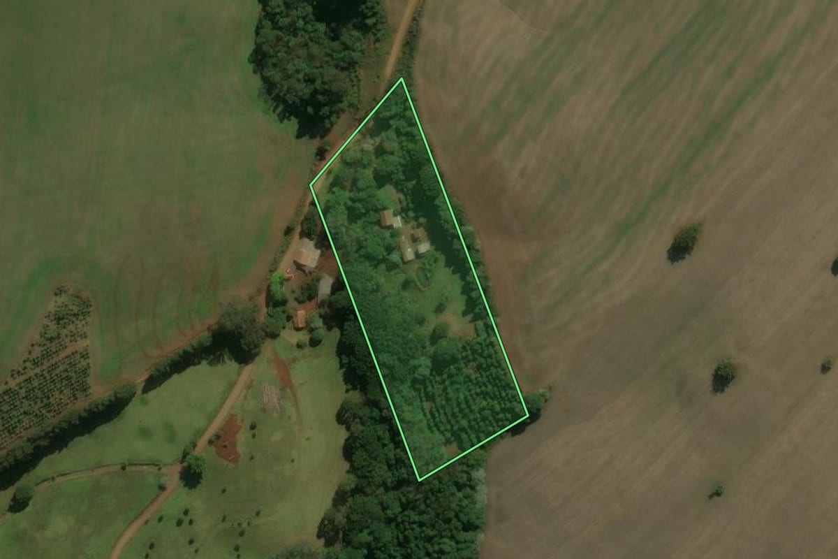 Imagem de satélite do imóvel rural em Centenário (RS), com o contorno declarado no CAR desenhado por cima.