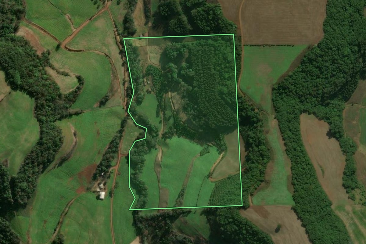 Imagem de satélite do imóvel rural em Centenário (RS), com o contorno declarado no CAR desenhado por cima.