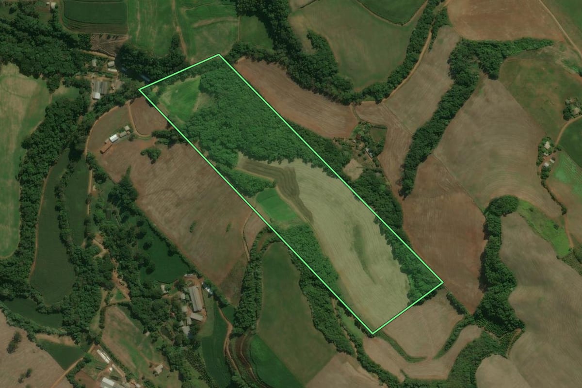Imagem de satélite do imóvel rural em Centenário (RS), com o contorno declarado no CAR desenhado por cima.