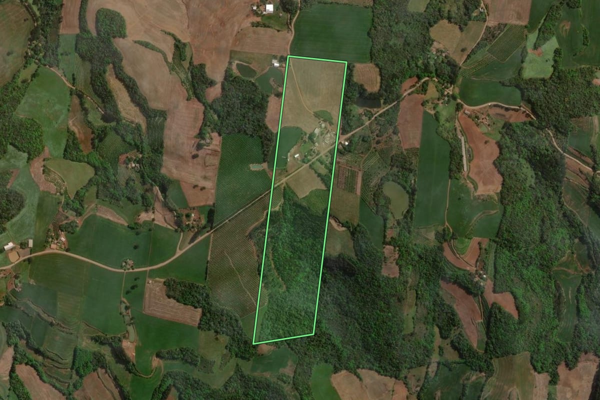 Imagem de satélite do imóvel rural em Centenário (RS), com o contorno declarado no CAR desenhado por cima.