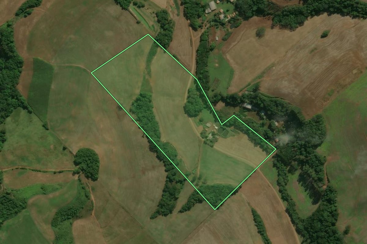 Imagem de satélite do imóvel rural em Centenário (RS), com o contorno declarado no CAR desenhado por cima.