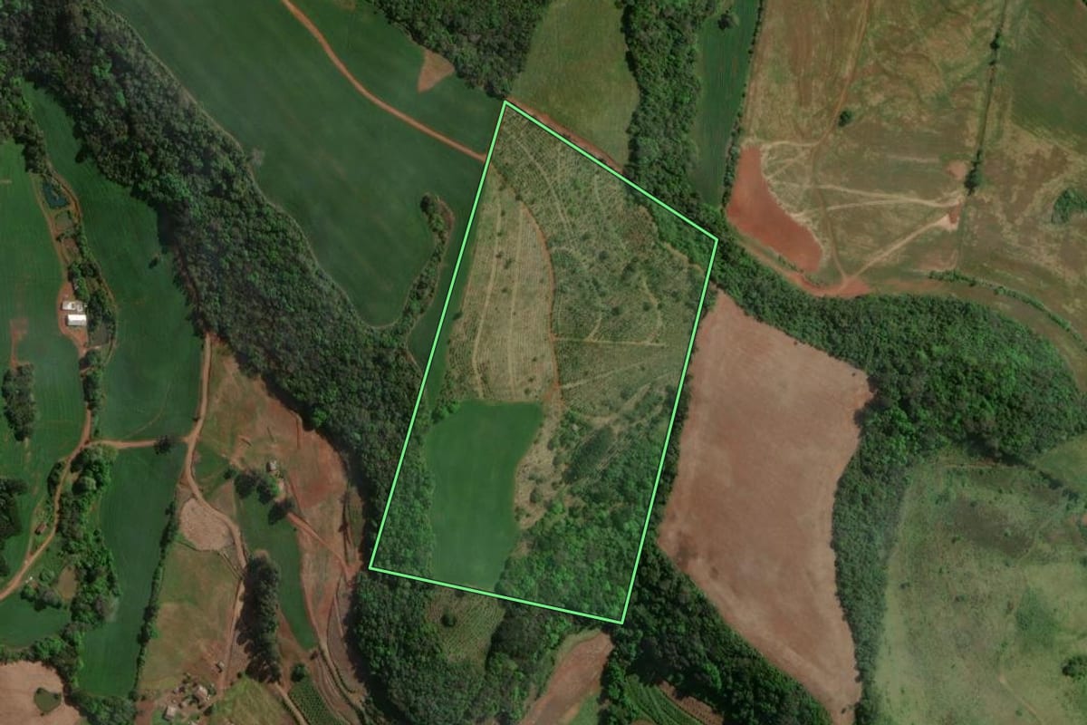 Imagem de satélite do imóvel rural em Centenário (RS), com o contorno declarado no CAR desenhado por cima.