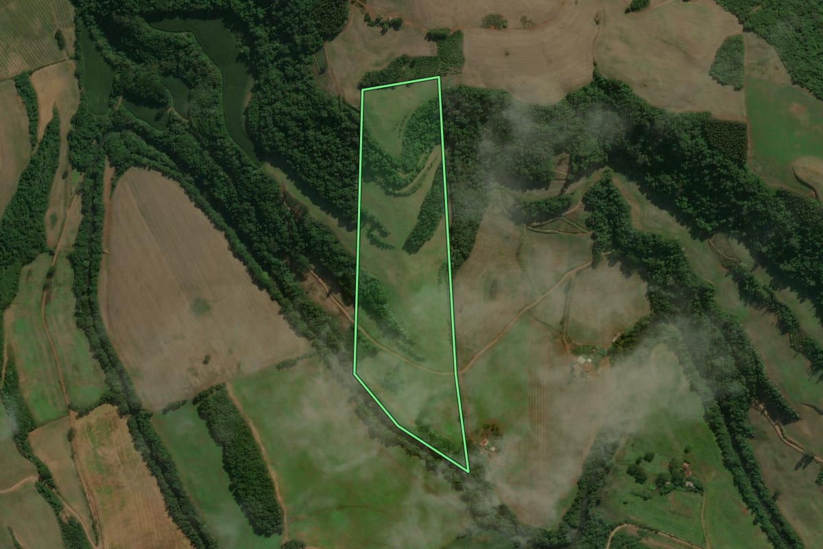 Imagem de satélite do imóvel rural em Centenário (RS), com o contorno declarado no CAR desenhado por cima.