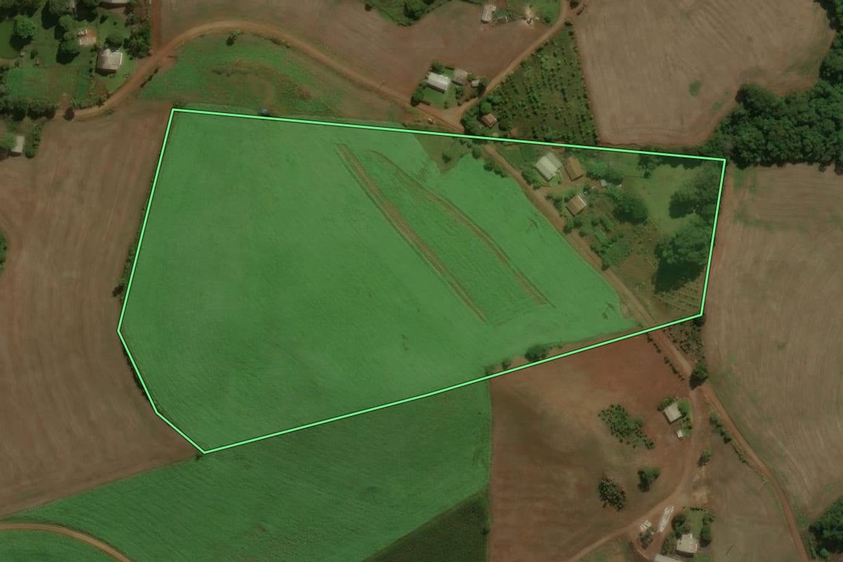 Imagem de satélite do imóvel rural em Centenário (RS), com o contorno declarado no CAR desenhado por cima.
