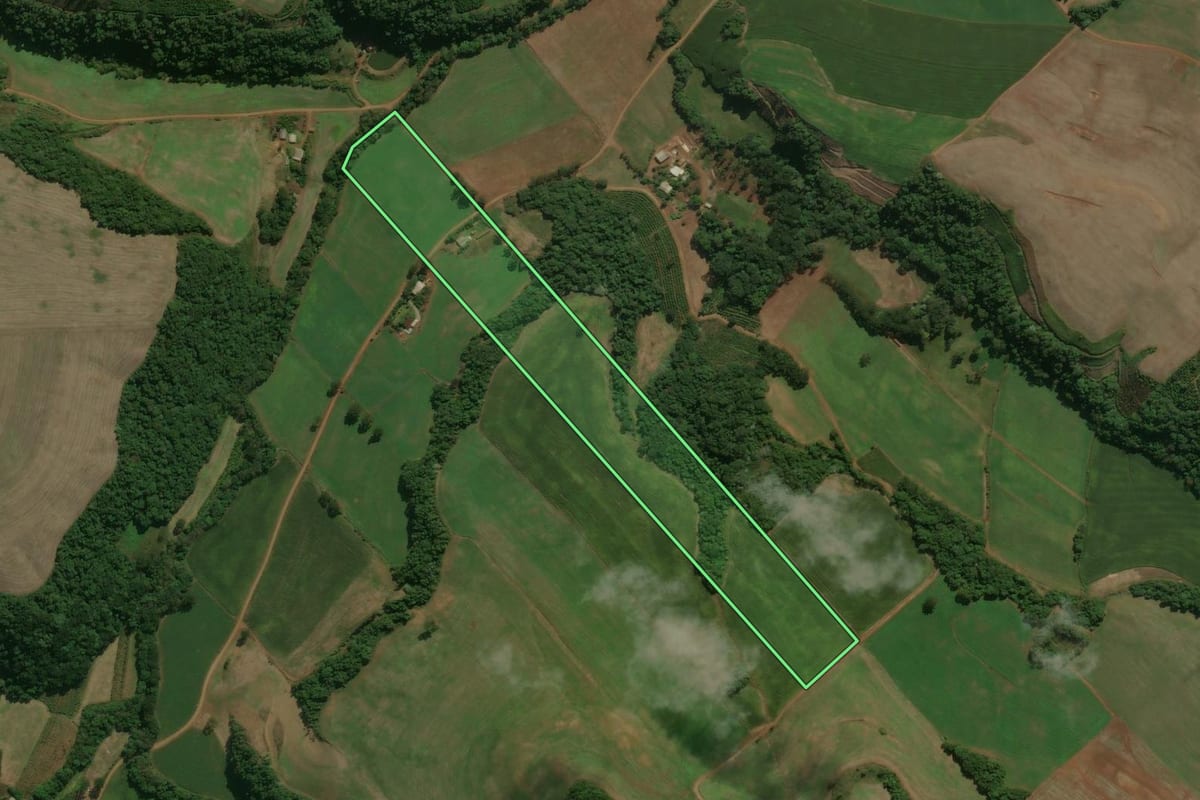 Imagem de satélite do imóvel rural em Centenário (RS), com o contorno declarado no CAR desenhado por cima.