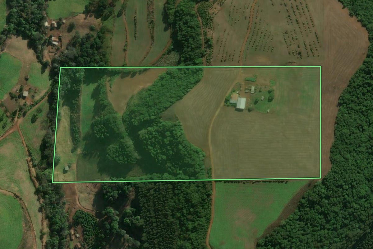 Imagem de satélite do imóvel rural em Centenário (RS), com o contorno declarado no CAR desenhado por cima.