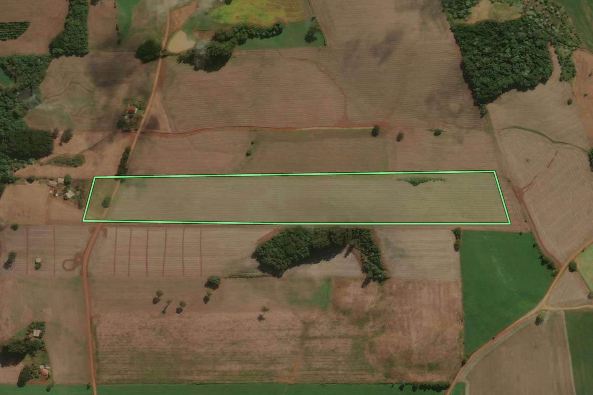 Imagem de satélite do imóvel rural em Centenário (RS), com o contorno declarado no CAR desenhado por cima.