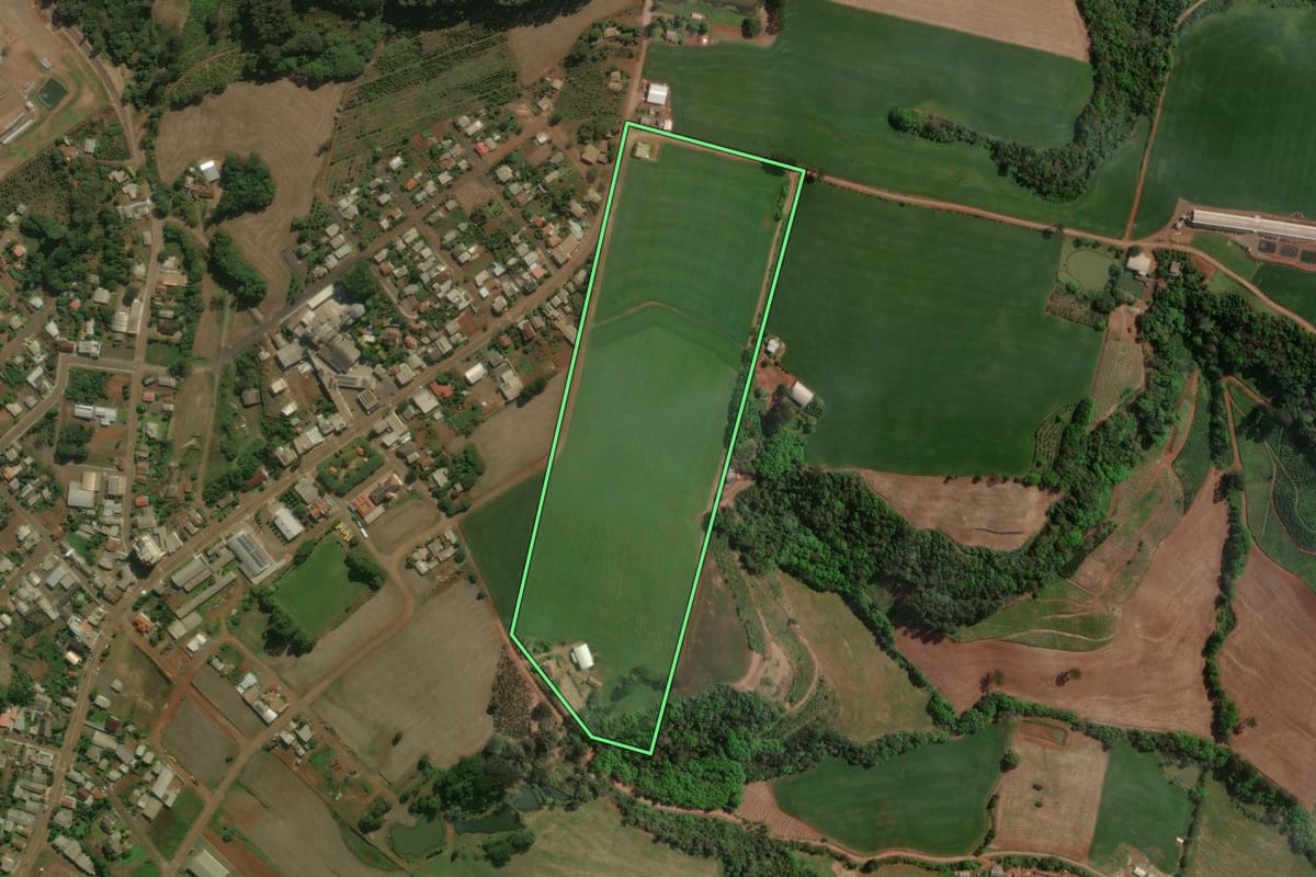 Imagem de satélite do imóvel rural em Centenário (RS), com o contorno declarado no CAR desenhado por cima.