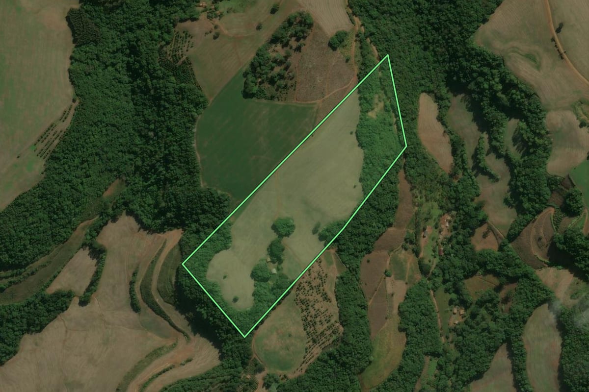 Imagem de satélite do imóvel rural em Centenário (RS), com o contorno declarado no CAR desenhado por cima.