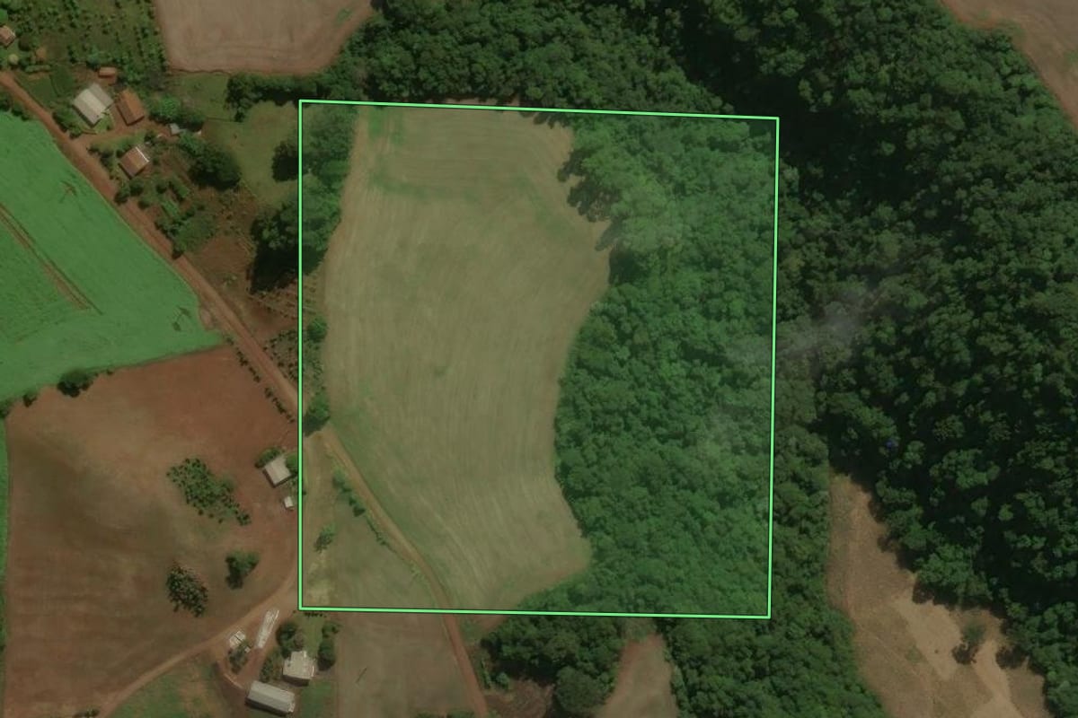 Imagem de satélite do imóvel rural em Centenário (RS), com o contorno declarado no CAR desenhado por cima.