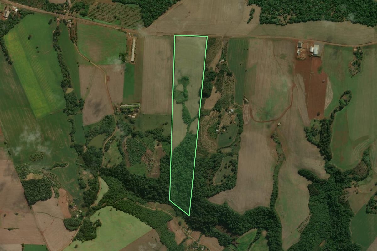 Imagem de satélite do imóvel rural em Centenário (RS), com o contorno declarado no CAR desenhado por cima.