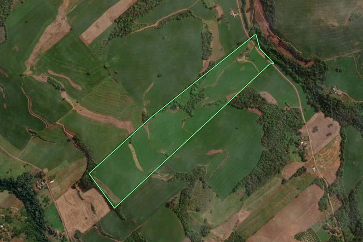 Imagem de satélite do imóvel rural em Centenário (RS), com o contorno declarado no CAR desenhado por cima.