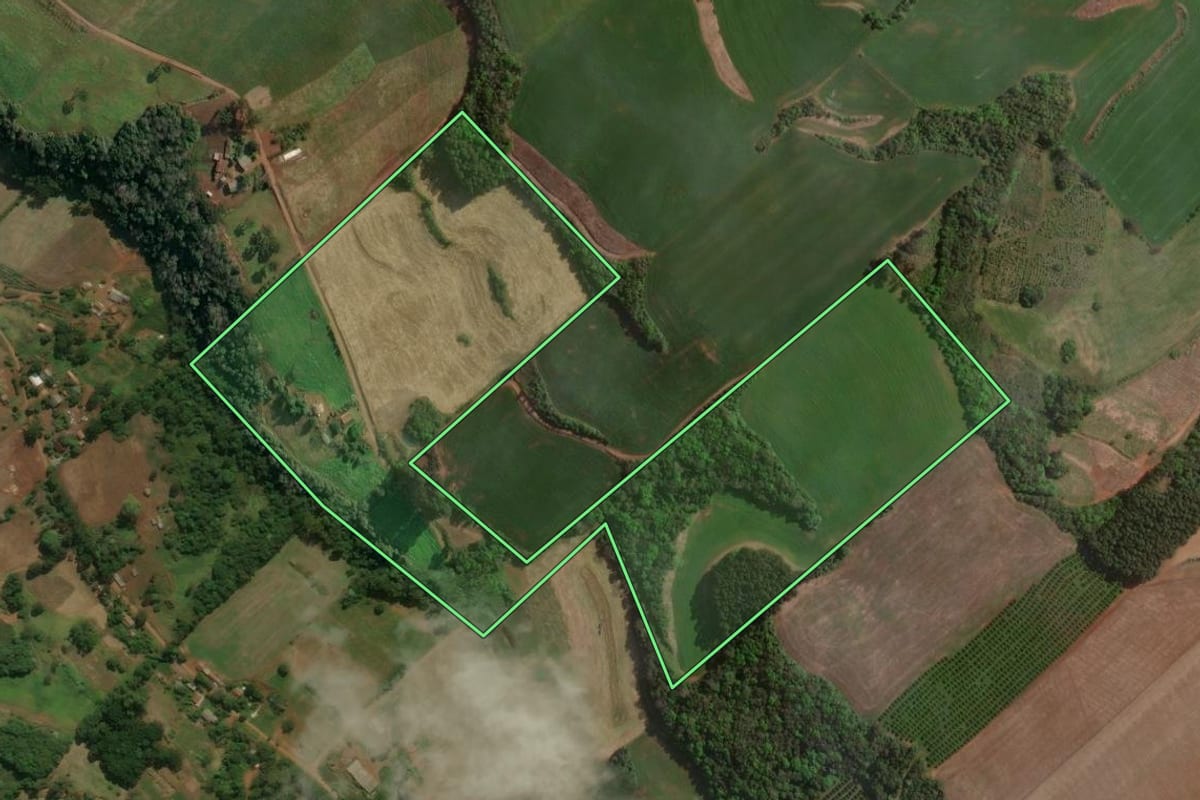 Imagem de satélite do imóvel rural em Centenário (RS), com o contorno declarado no CAR desenhado por cima.