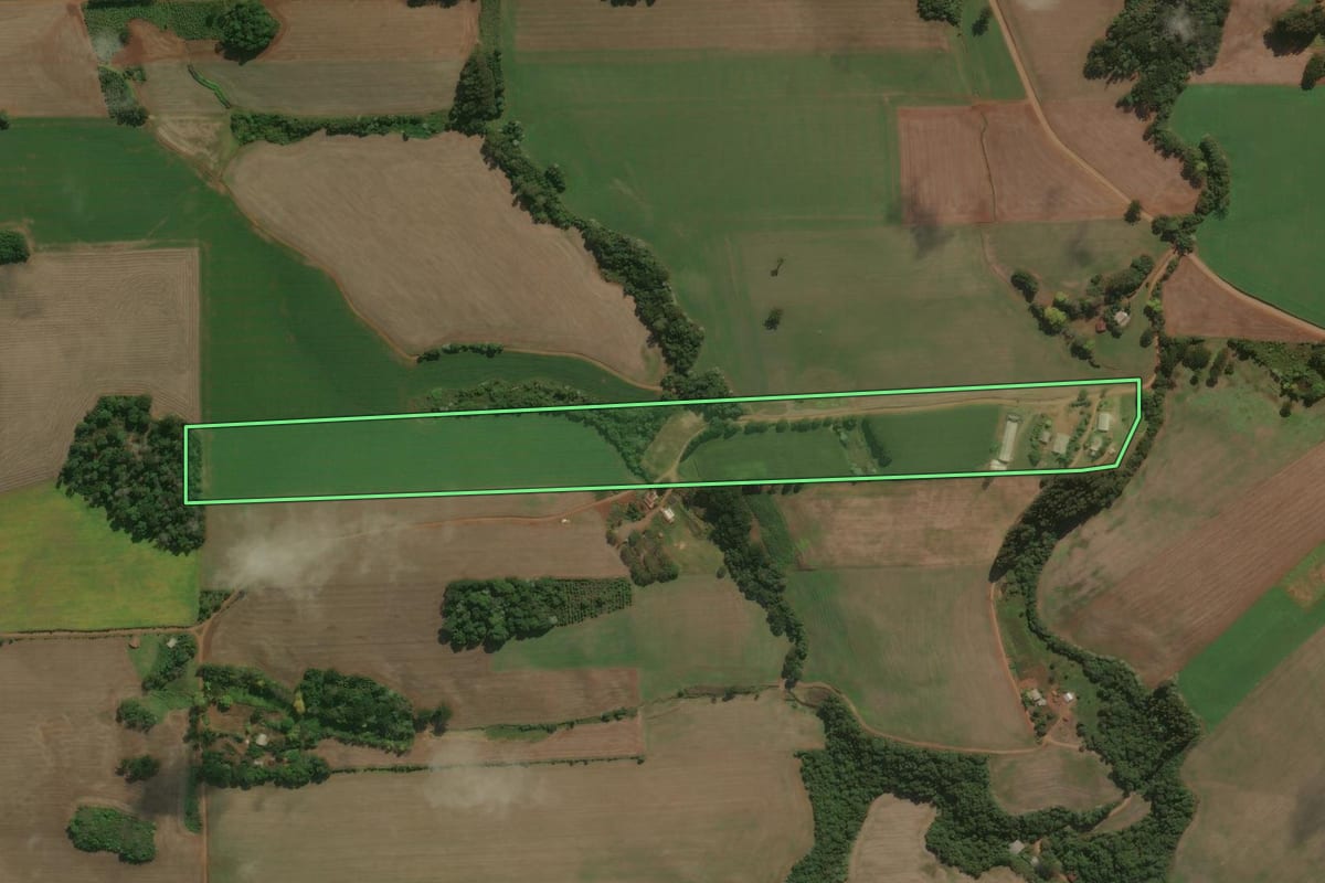 Imagem de satélite do imóvel rural em Centenário (RS), com o contorno declarado no CAR desenhado por cima.